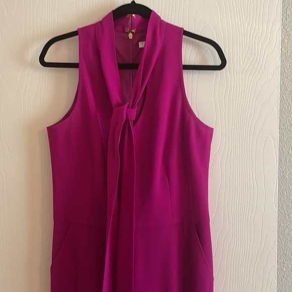 Fuchsia - Picture 3 of 5